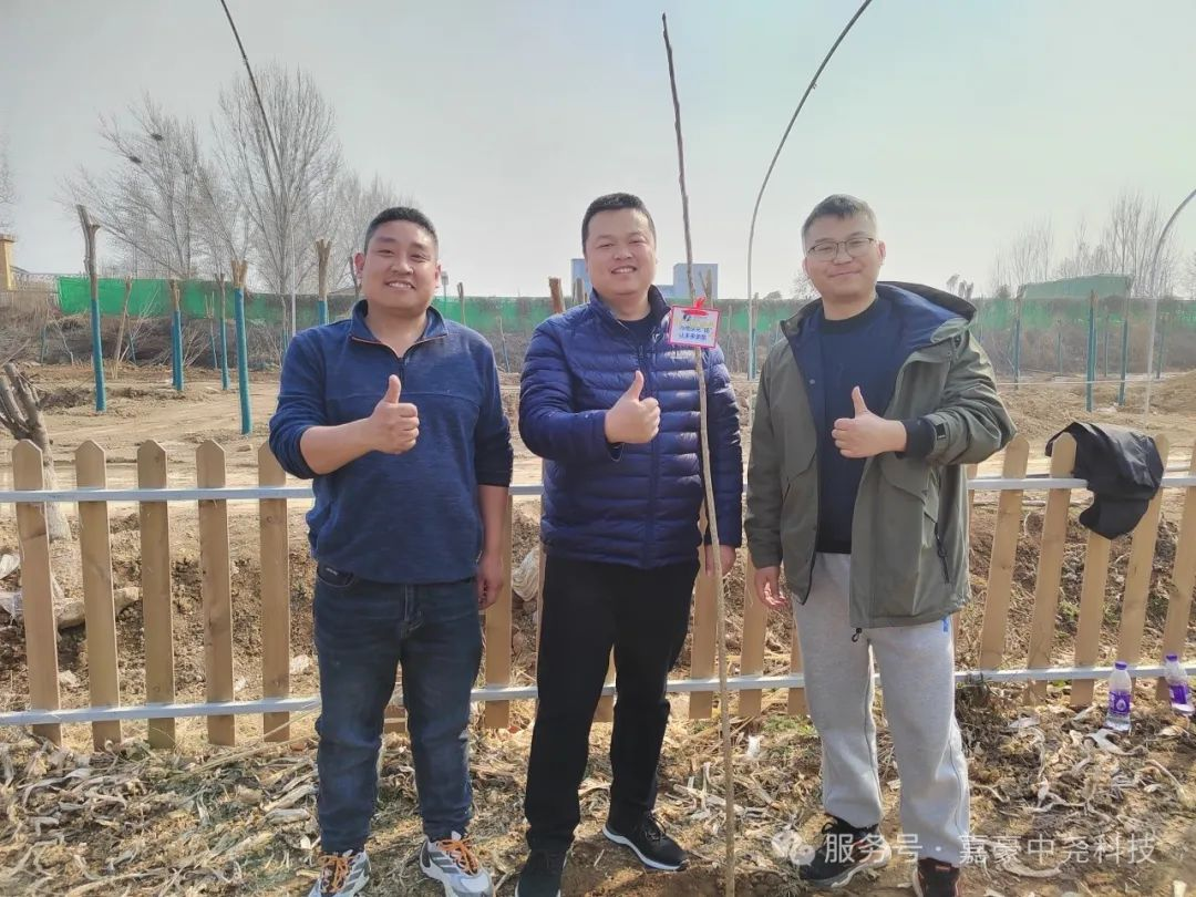图片35.png